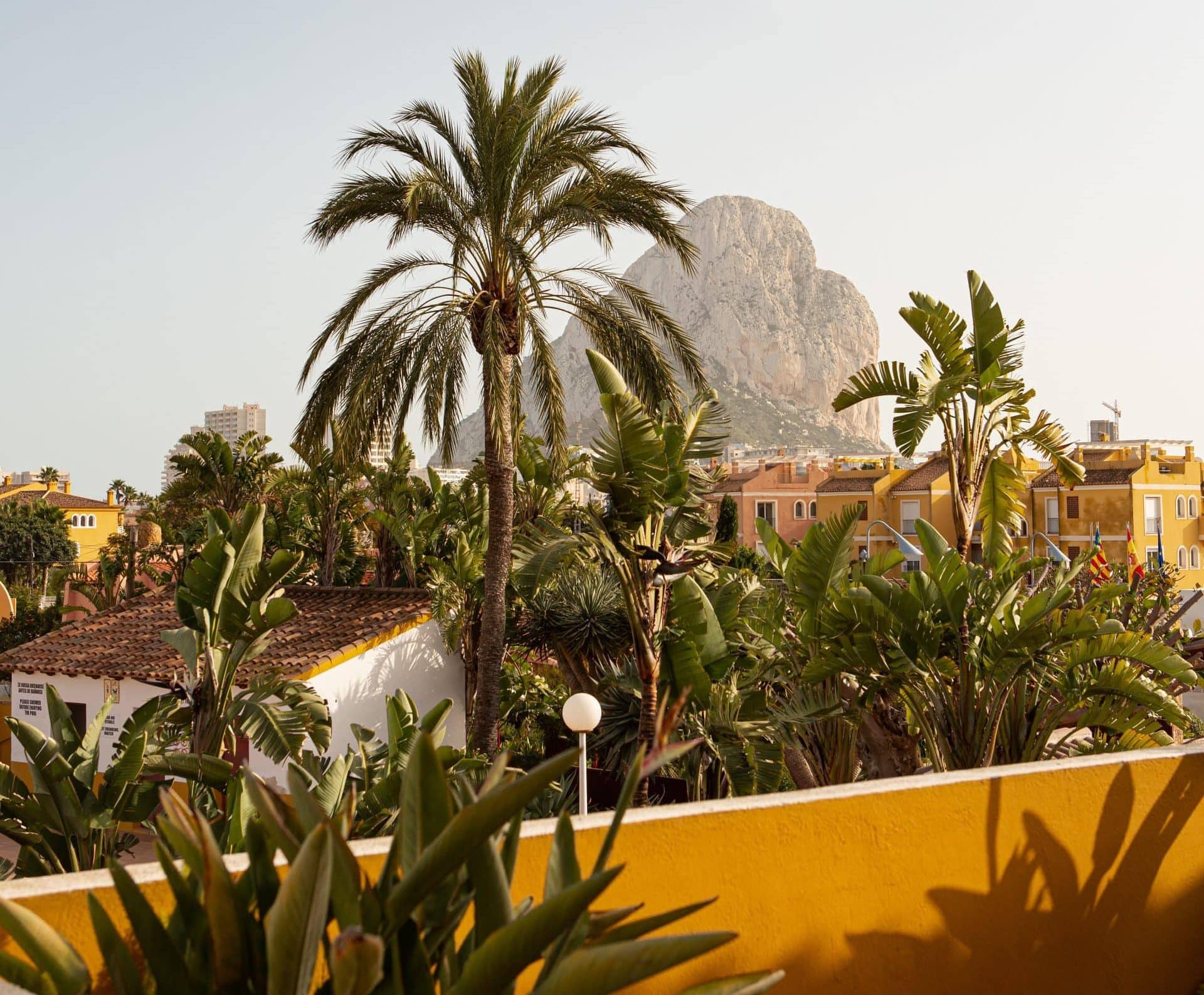 Mediterranean Lifestyle: A Complete Guide to Health and Happiness