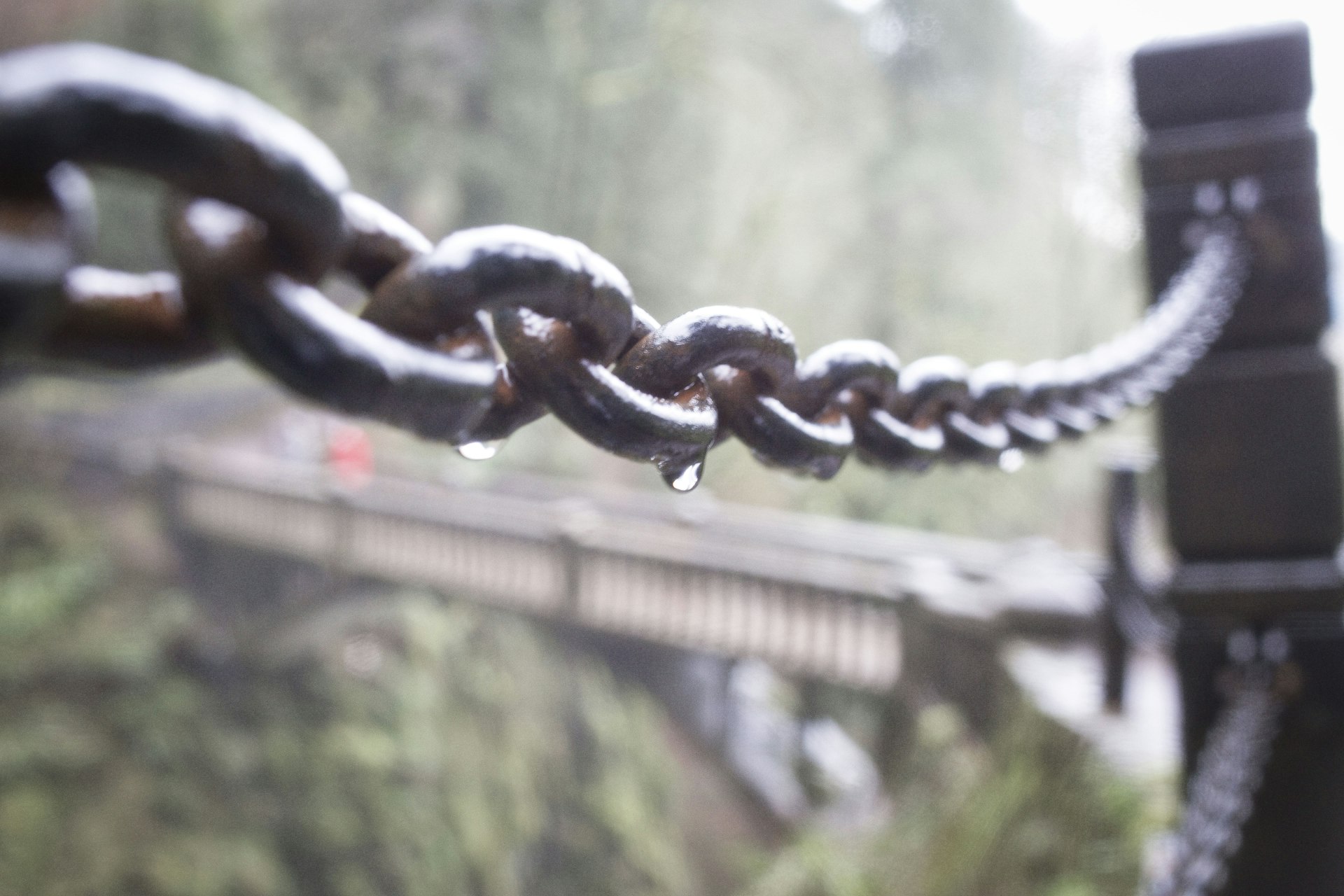 Unlocking Supply Chain Transparency: The Transformative Role of Blockchain Technology