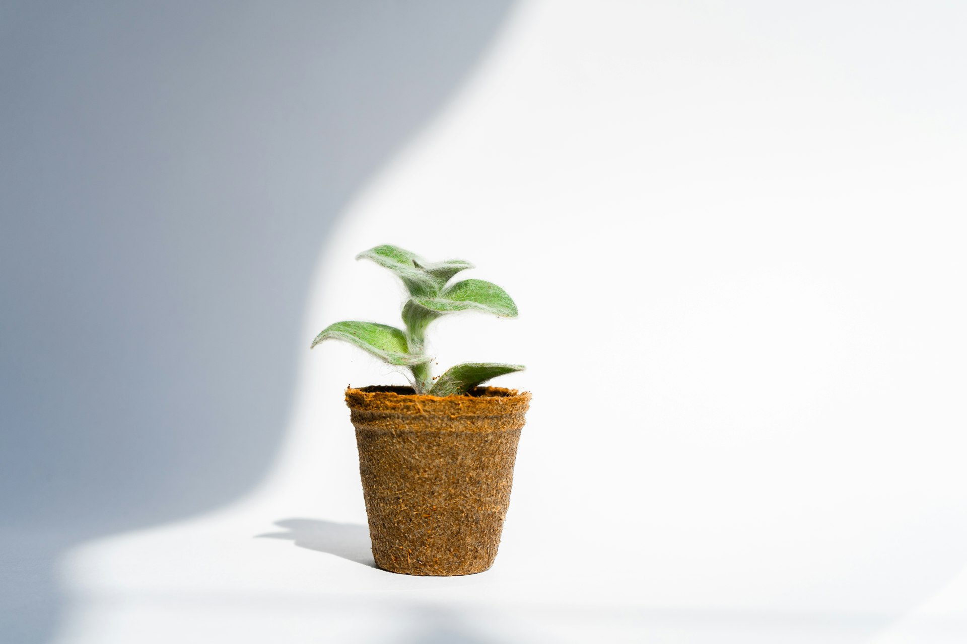 Why Retention Marketing Is Essential for Sustainable Long-Term Growth
